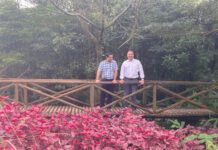 “Reservas florestais de recreio são cartão-de-visita da floresta açoriana com 500 mil visitantes anuais”, diz António Ventura