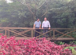 “Reservas florestais de recreio são cartão-de-visita da floresta açoriana com 500 mil visitantes anuais”, diz António Ventura