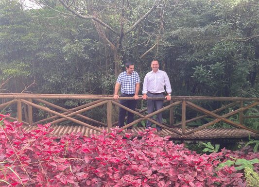 “Reservas florestais de recreio são cartão-de-visita da floresta açoriana com 500 mil visitantes anuais”, diz António Ventura