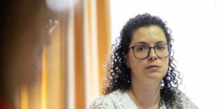 PS quer ação do Governo Regional para controlar pragas e compensar os agricultores dos Açores