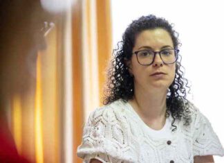 PS quer ação do Governo Regional para controlar pragas e compensar os agricultores dos Açores