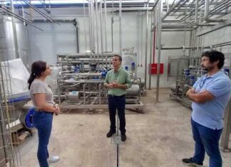Defende Eurodeputada da IL: Aposta na inovação e tecnologia é essencial para preparar os Açores para o futuro