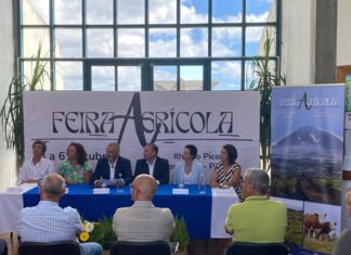 “Descida do preço do leite pago ao produtor pode inviabilizar a existência de explorações”, diz António Ventura