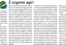 É urgente agir!