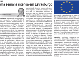 Europa | Uma semana intensa em Estrasburgo