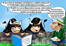 Cartoon semanal | 13 de setembro de 2024