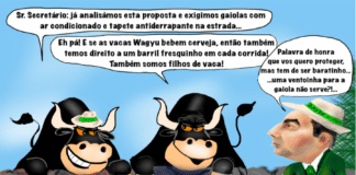 Cartoon semanal | 13 de setembro de 2024
