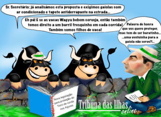 Cartoon semanal | 13 de setembro de 2024