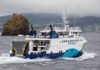 Ferry Mestre Jaime Feijó de volta à operação