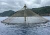 Total de 3,4 milhões de euros para apoio aos investimentos para o desenvolvimento sustentável da aquicultura no domínio dos investimentos produtivos