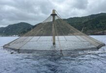 Total de 3,4 milhões de euros para apoio aos investimentos para o desenvolvimento sustentável da aquicultura no domínio dos investimentos produtivos