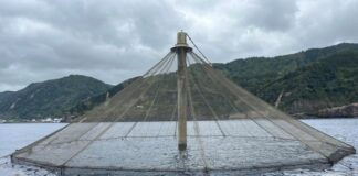 Total de 3,4 milhões de euros para apoio aos investimentos para o desenvolvimento sustentável da aquicultura no domínio dos investimentos produtivos