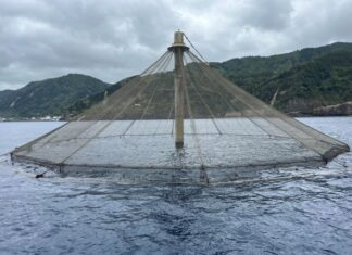 Total de 3,4 milhões de euros para apoio aos investimentos para o desenvolvimento sustentável da aquicultura no domínio dos investimentos produtivos