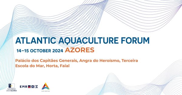 24.1026