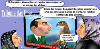 Cartoon semanal | 18 de outubro de 2024