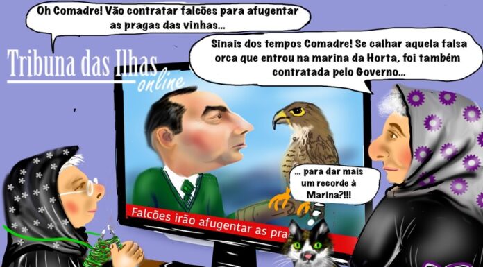 Cartoon semanal | 18 de outubro de 2024