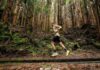 Triangle Adventure by Azores Trail Run 2024 | Espanhóis dominam 10.ª edição da prova mais internacional do Triângulo