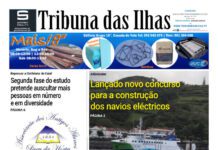 Capa | Edição n.º 1159, 29 de novembro de 2024
