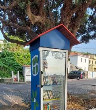 Iniciativa Cultural | Junta da Praia do Almoxarife incentiva à leitura