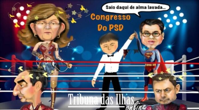 Cartoon semanal | 8 de novembro de 2024