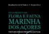 Lançamento do “Guia Prático da Flora e Fauna Marinha dos Açores”