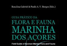 Lançamento do “Guia Prático da Flora e Fauna Marinha dos Açores”