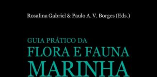 Lançamento do “Guia Prático da Flora e Fauna Marinha dos Açores”