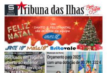 Capa | Edição n.º 1161, 13 de dezembro de 2024