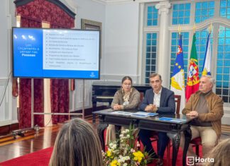 Câmara apoia movimento associativo em meio milhão de euros