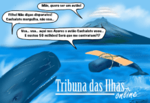 Cartoon semanal | 13 de dezembro de 2024
