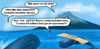Cartoon semanal | 13 de dezembro de 2024