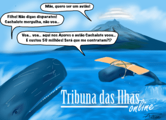 Cartoon semanal | 13 de dezembro de 2024