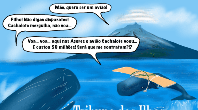 Cartoon semanal | 13 de dezembro de 2024