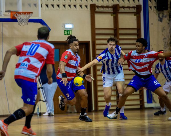 imageedit_6_6019162827