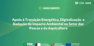 Publicado Aviso PRR referente a incentivos para setor da pesca e aquicultura