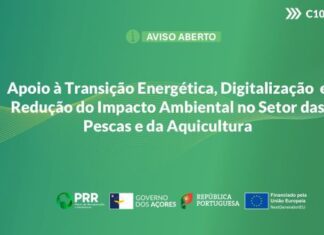 Publicado Aviso PRR referente a incentivos para setor da pesca e aquicultura