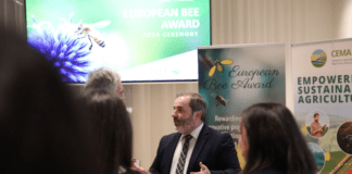 Prémios europeus da apicultura