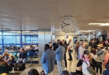 Novo recorde de passageiros desembarcados nos Açores em 2024 | Aeroporto da Horta acompanhou a tendência