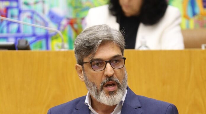 PAN/Açores repudia patrocínio do Governo a actividades tauromáquicas