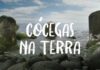 Grande produção de documentários açorianos exibidos na ilha do Pico