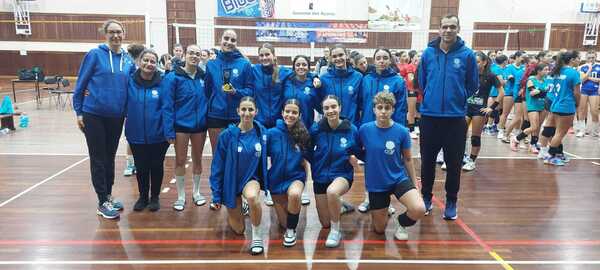 voleibol
