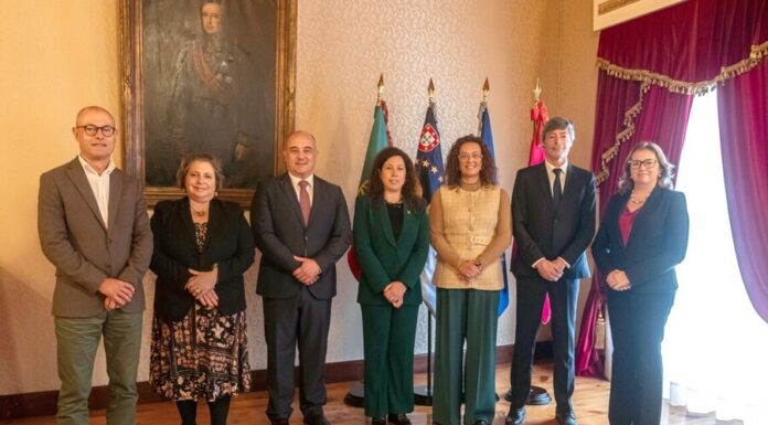 Açores Querem Ser Cidade Europeia do Vinho