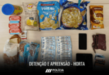 Detenção de suspeito por crimes contra o património l Horta