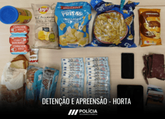 Detenção de suspeito por crimes contra o património l Horta