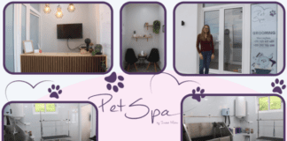 PetSpa | Isabel Matos abre primeiro espaço de estética canina