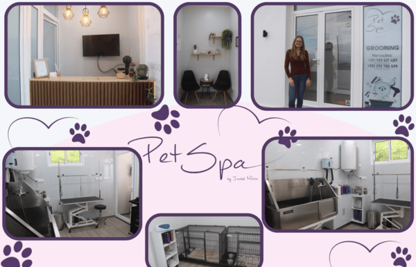 PetSpa | Isabel Matos abre primeiro espaço de estética canina