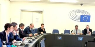 Paulo do Nascimento Cabral copresidente do Intergrupo sobre Política de Coesão e Regiões Ultraperiféricas