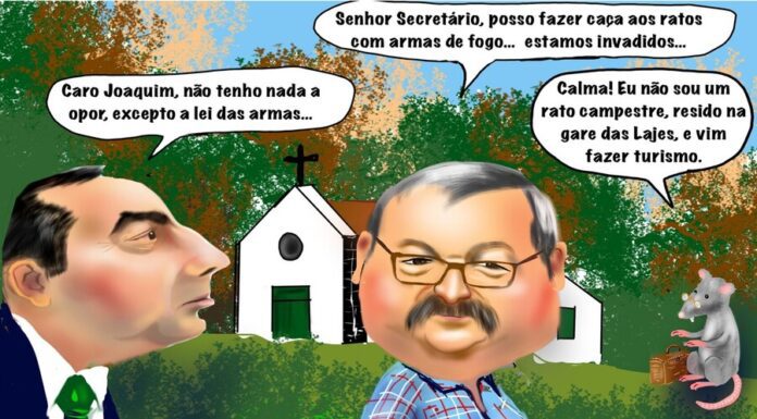 Cartoon semanal | 7 de fevereiro de 2025
