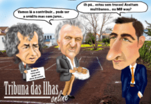 Cartoon semanal | 14 de fevereiro de 2025