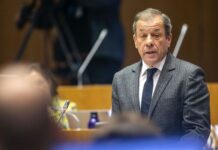 Acumulação de funções da Presidente do HDES